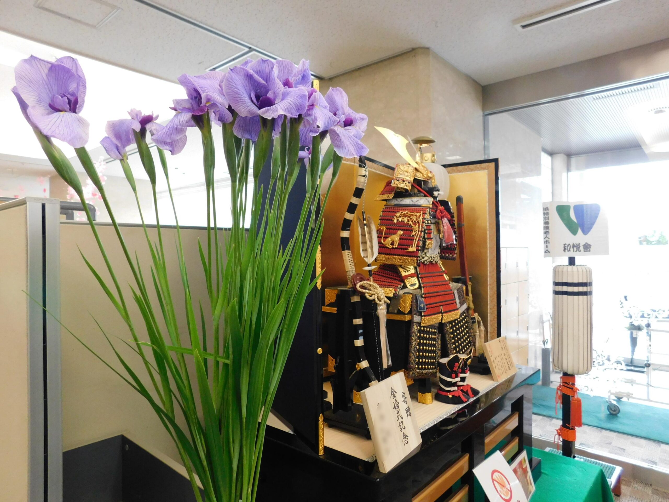 花菖蒲と五月人形