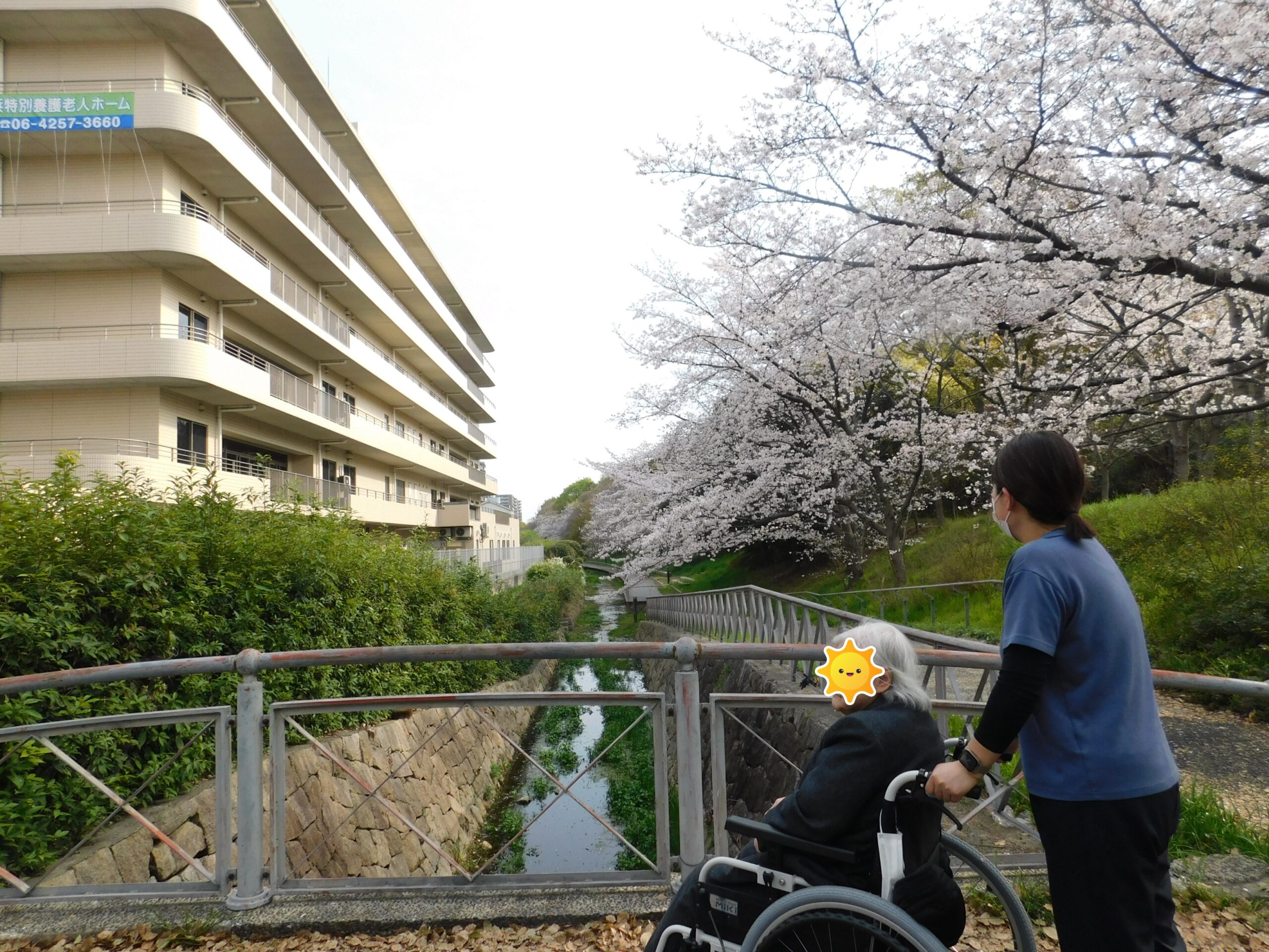 お花見に行きました♪